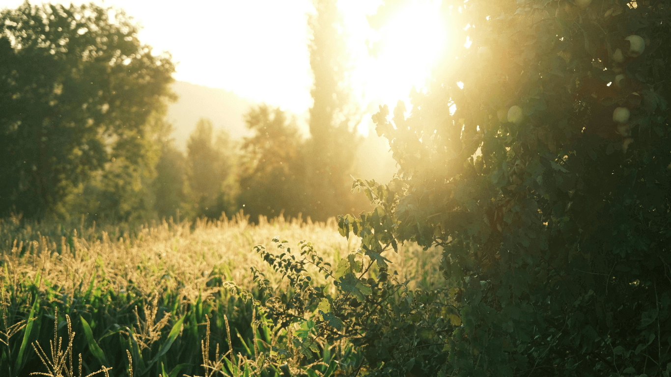  Bir takı değil, bir bilinç eşleşmesi.                              