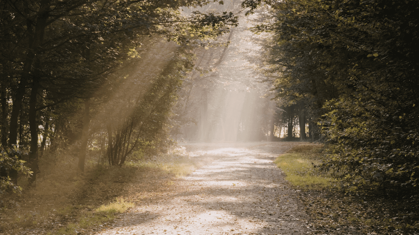Burada her şey kendi hızında
